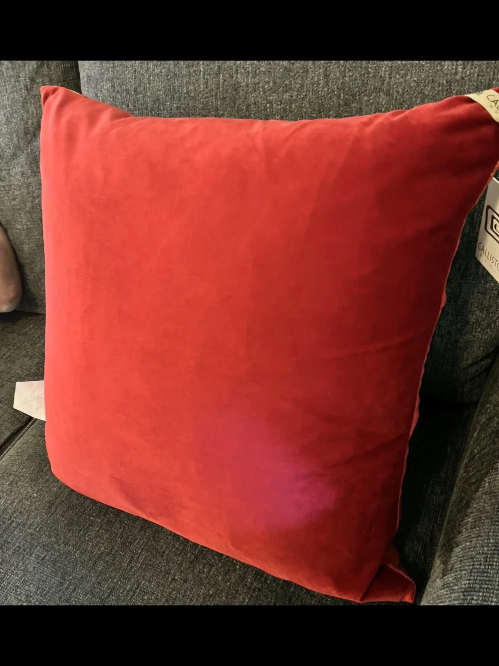 Callisto Red and Gold Velvet Accent Pillow 22 X 22 NWT